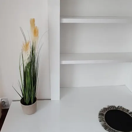 Simonovic アパート