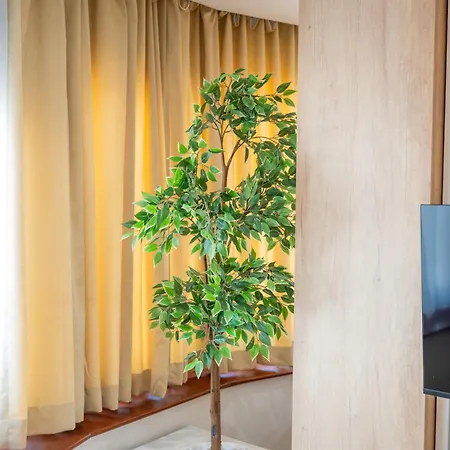 Lägenhet Simonovic Vrnjačka Banja